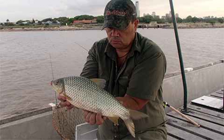 Nota en Pescadores en la red: Pesca de bogas en Sede Central