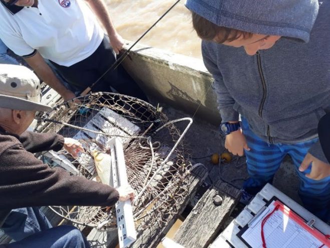 El próximo domingo es el cuarto y último concurso para el ranking 2017/2018 del Club del Niño Pescador