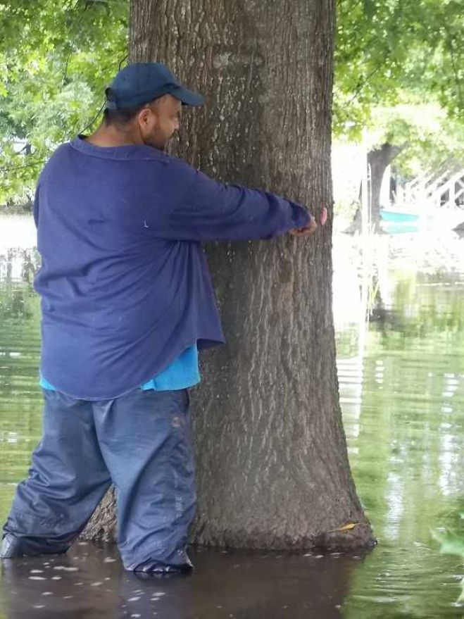 Paraná Guazú