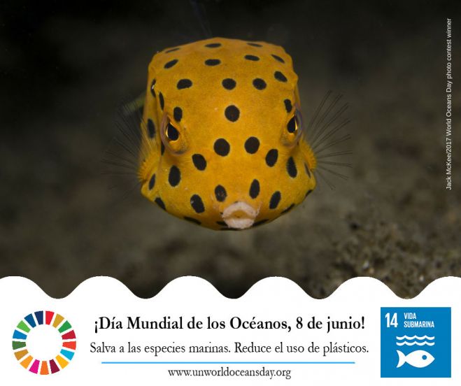 8 de junio: Día Mundial de los Océanos