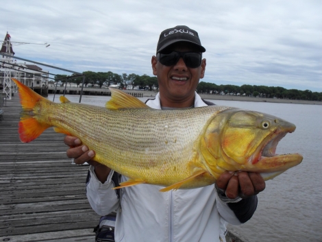 José Fleitas (Dorado 5,600 kg)