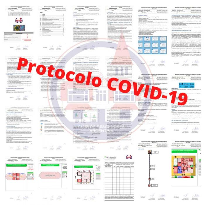 Estado de implementación del Protocolo COVID-19 al 18/8/2020