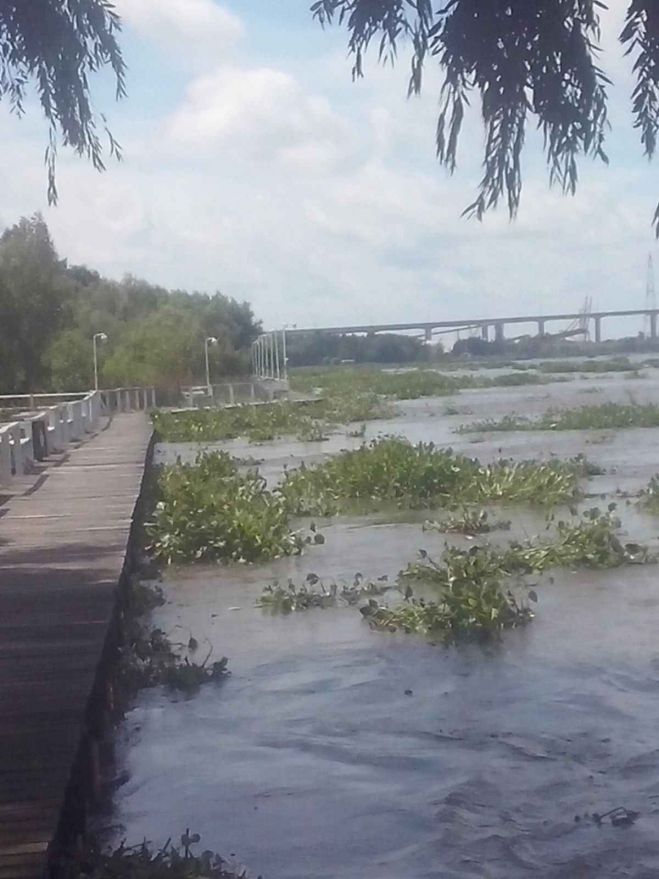 Situación en Guazú