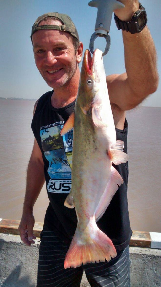 Gustavo Kafer